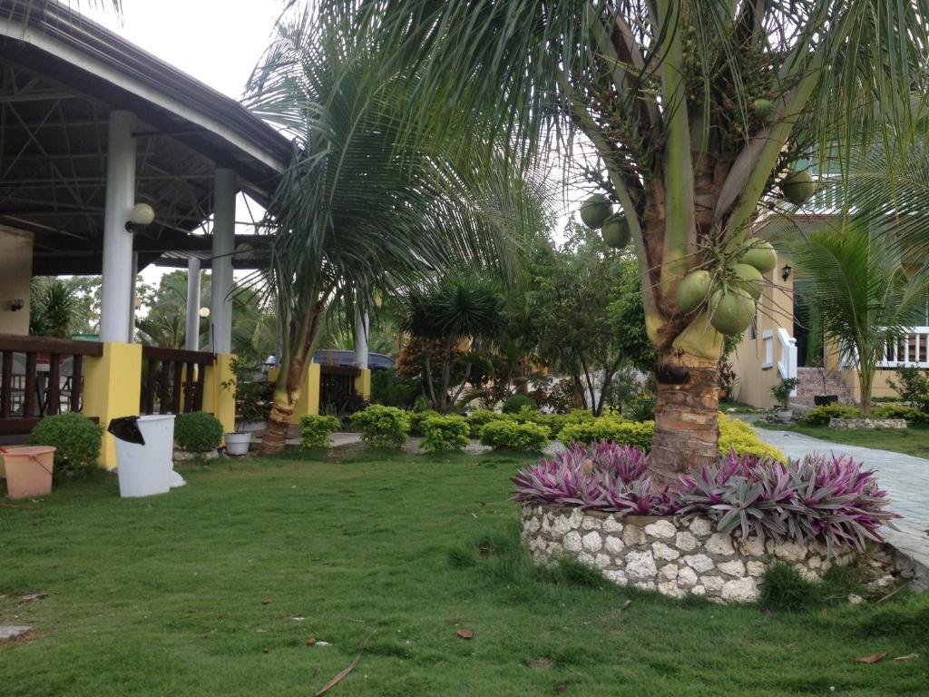 Moalboal Beach Resort Alcantara  Ngoại thất bức ảnh